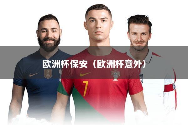 欧洲杯保安（欧洲杯意外）